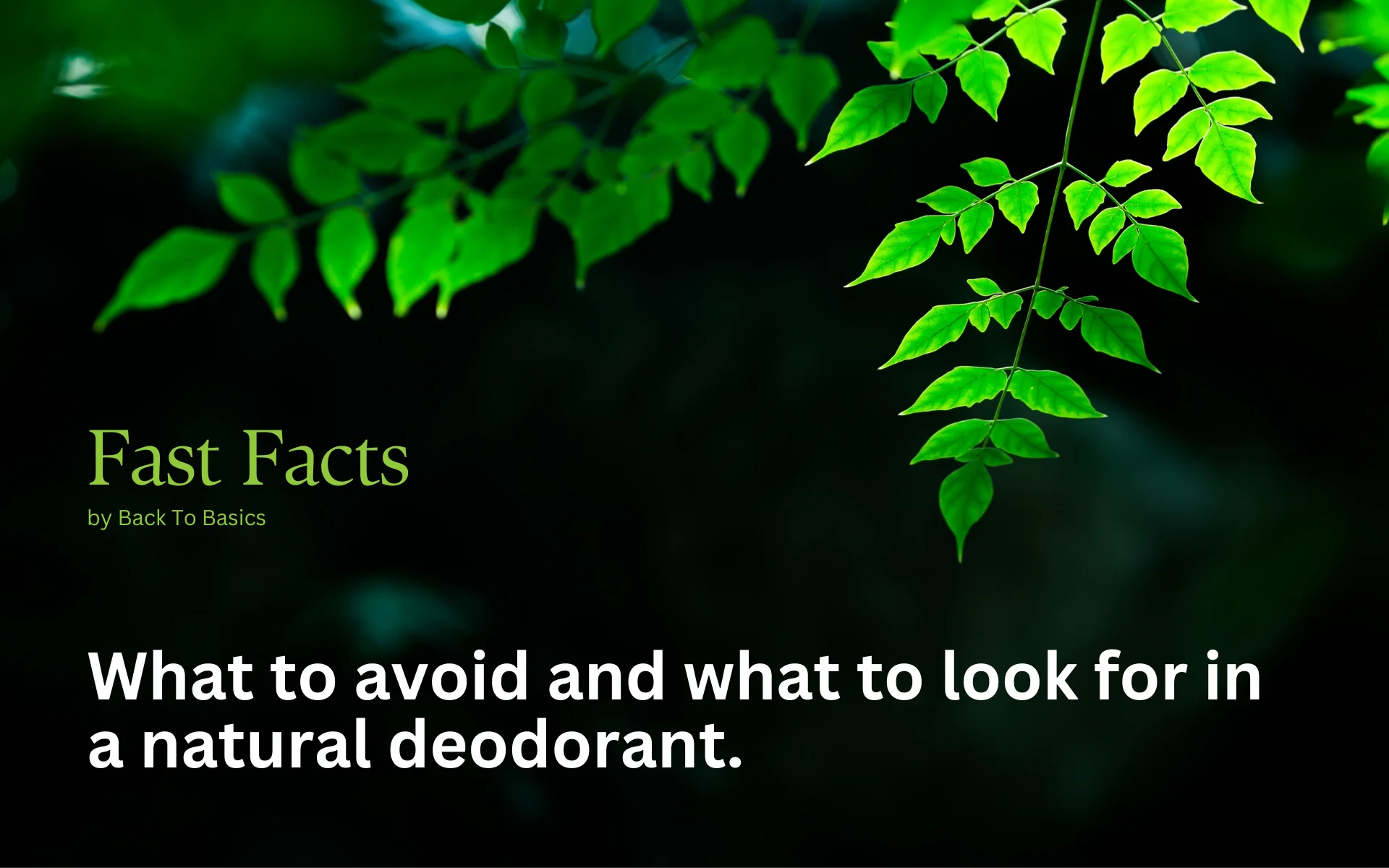 What to avoid and what to look for in a natural deodorant. 1 Back To Basics - Natural Deodorant